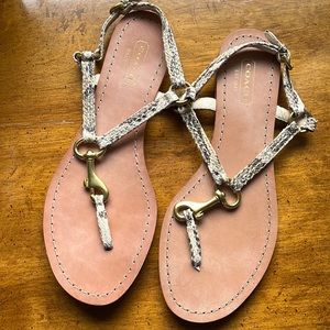Coach sandal in great condition.